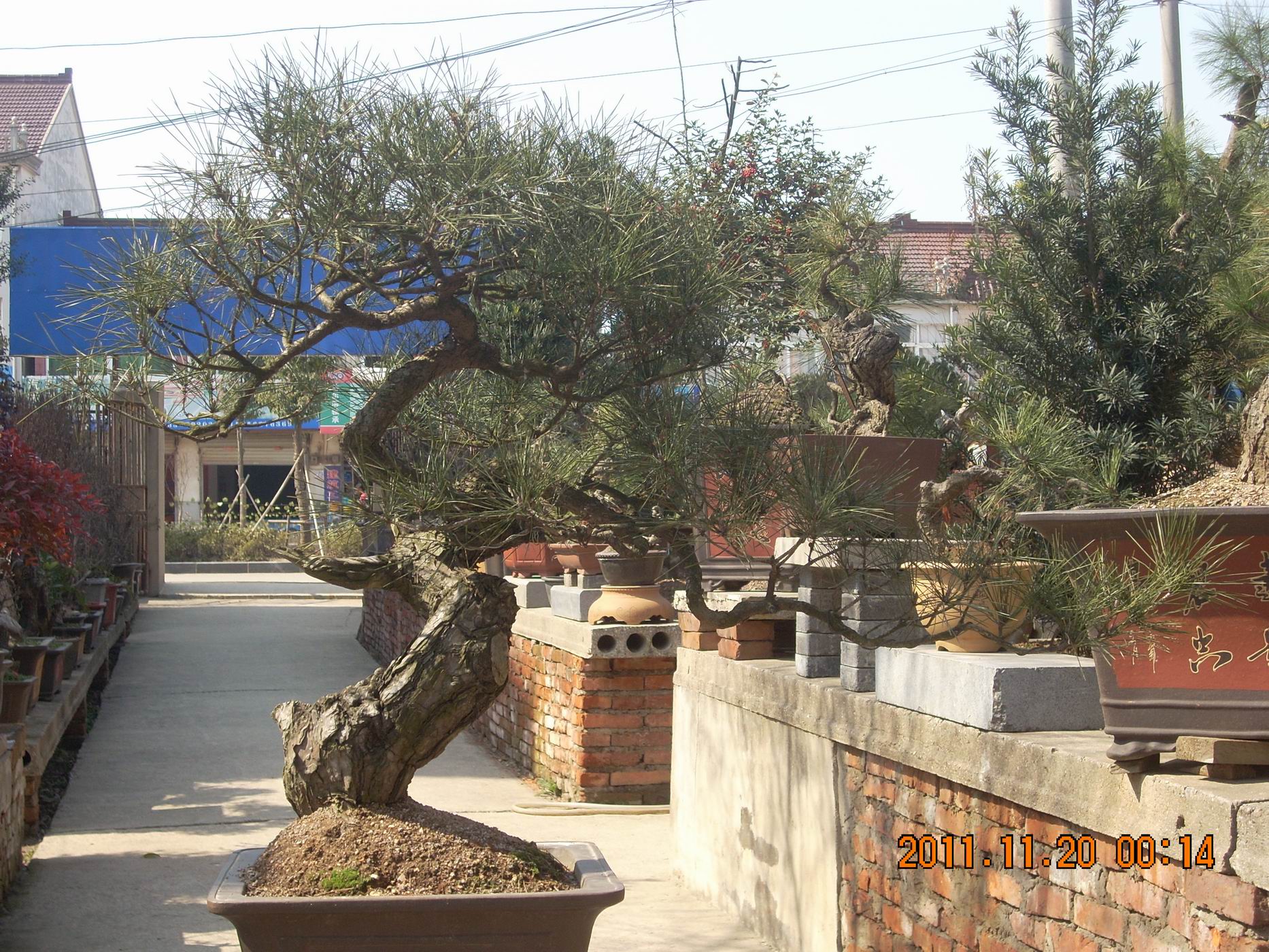 С DSCN1750.JPG