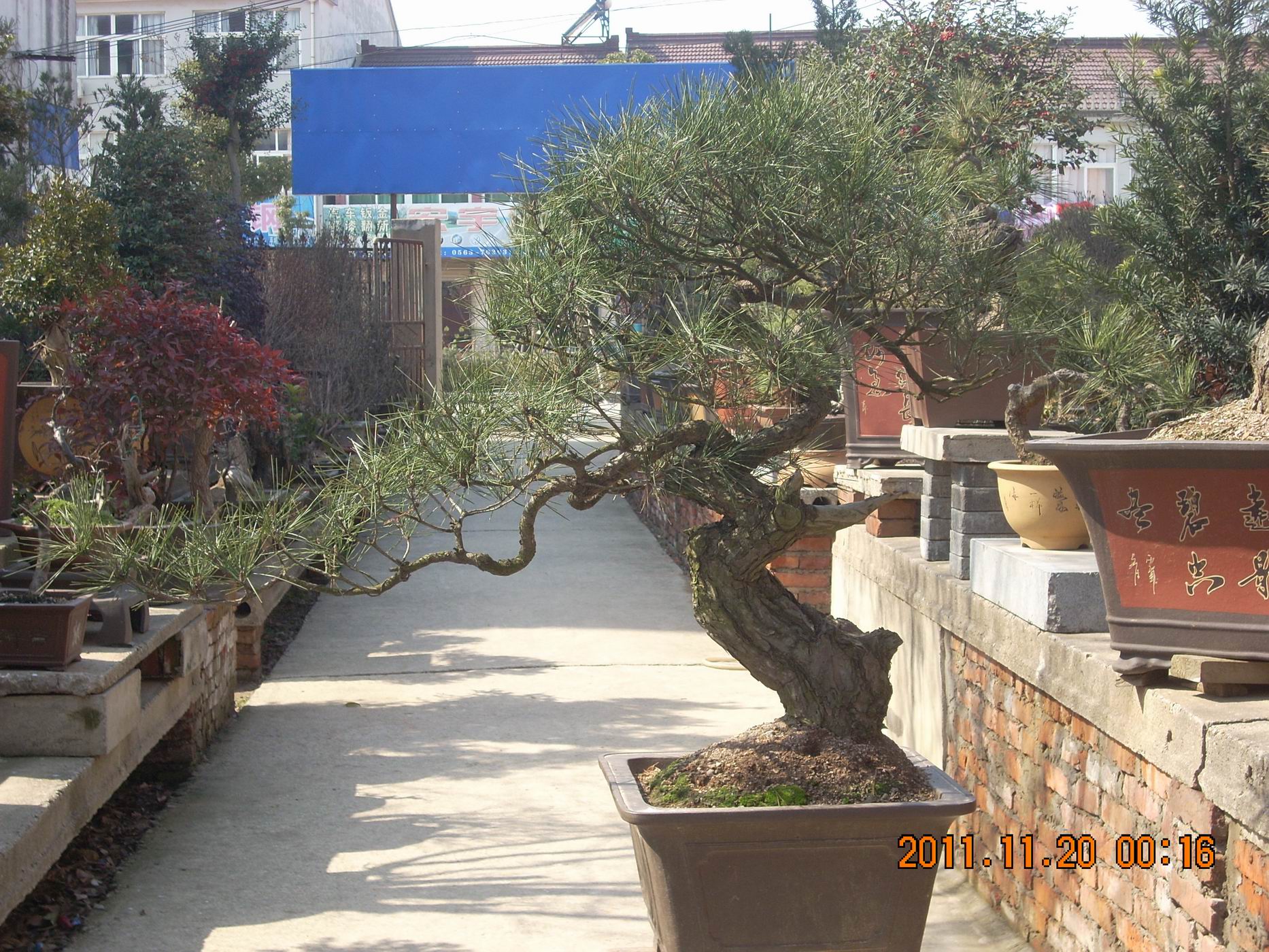 С DSCN1751.JPG