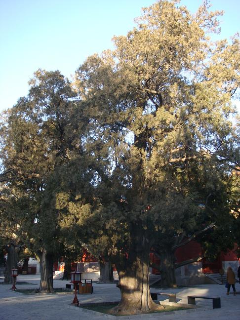 DSC00711.JPG
