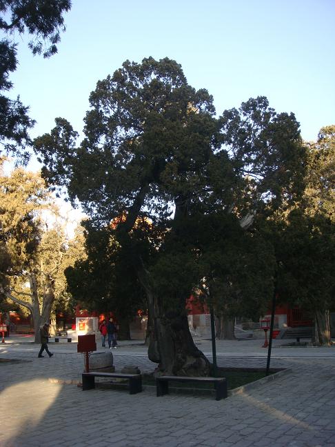 DSC00712.JPG