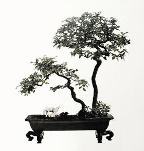 ݾ顶ͼ֣񣺸50cm.jpg