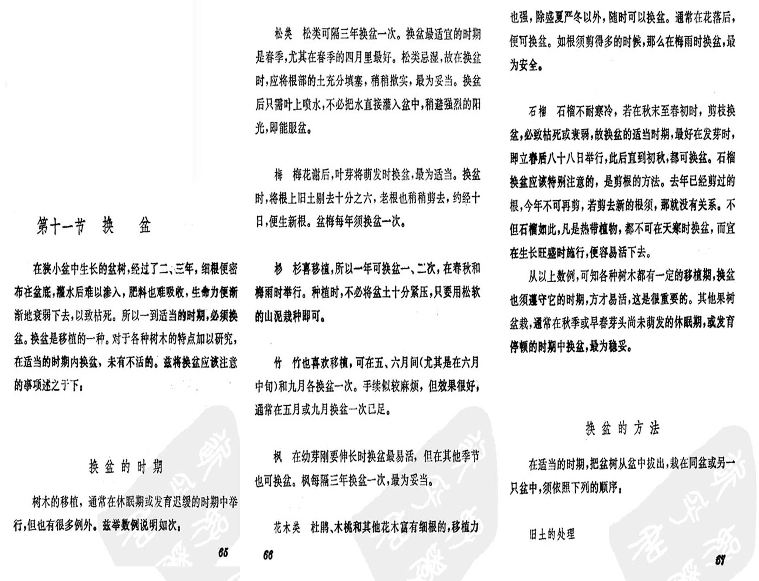19ݾȤζʮһ.jpg