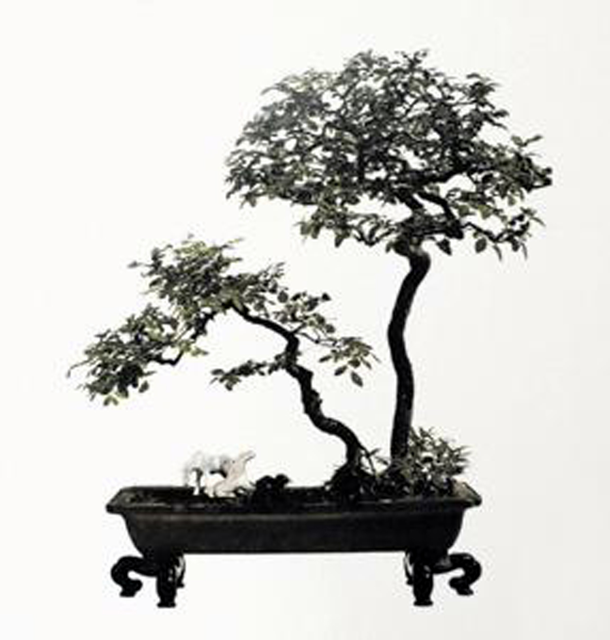 ݾ顶ͼ֣񣺸50cm.jpg
