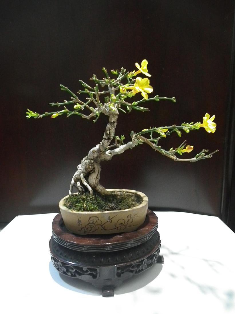 DSCF1303.JPG