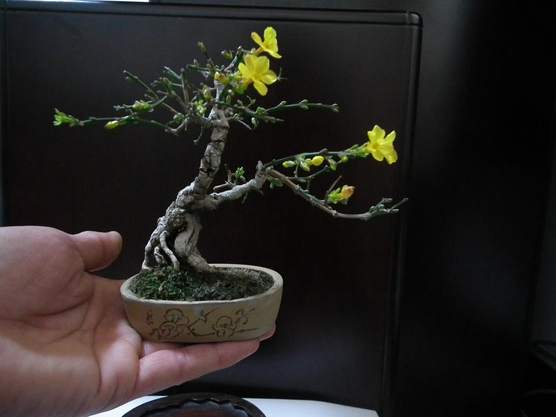 DSCF1307.JPG