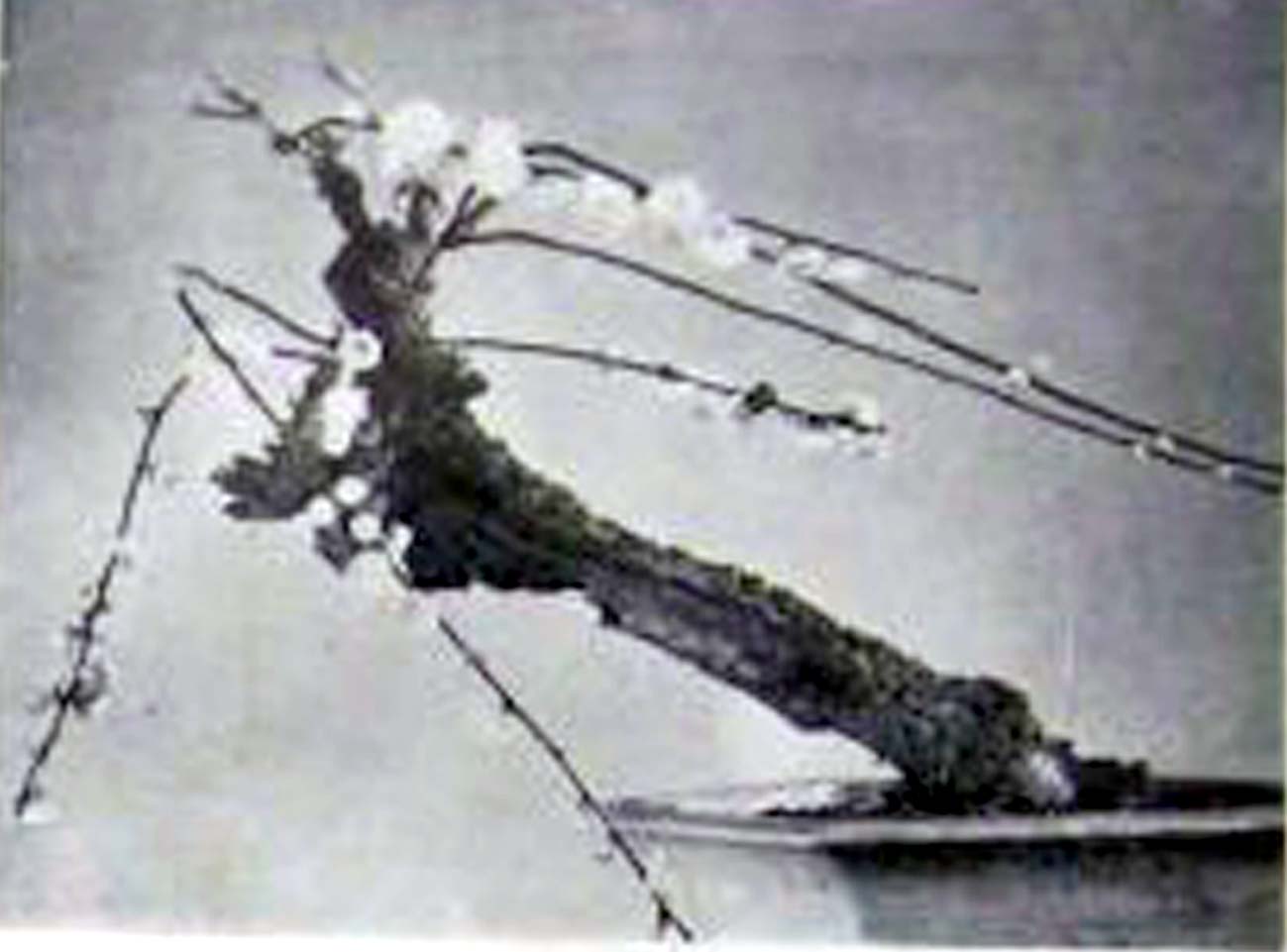 ݾ辰7.jpg