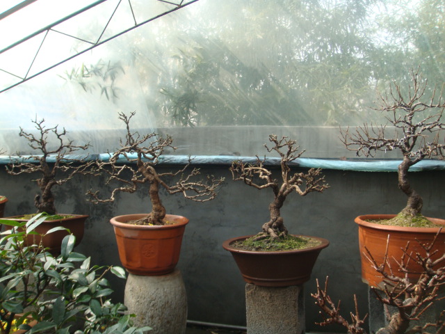 DSC02336.JPG