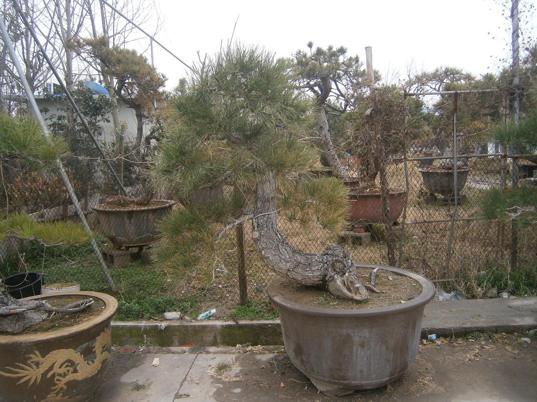P2242032.JPG