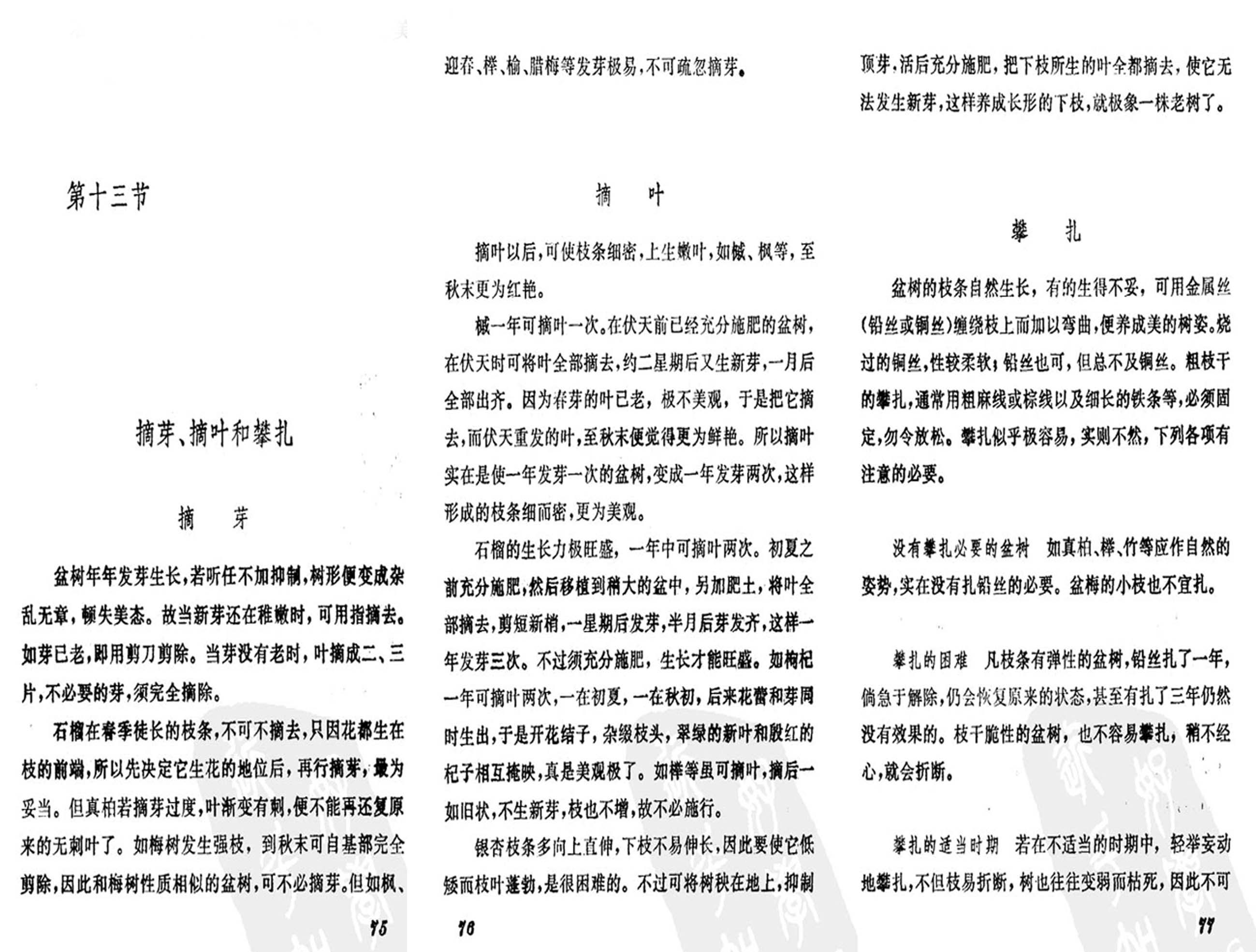 21ݾȤζʮ.jpg