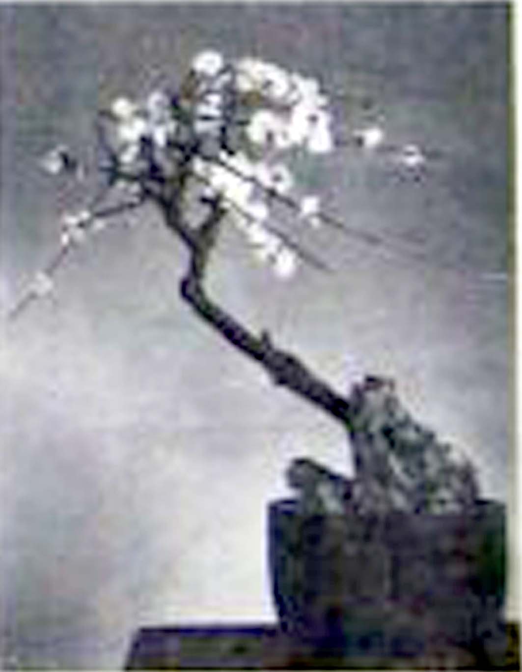 ݾ辰8.jpg