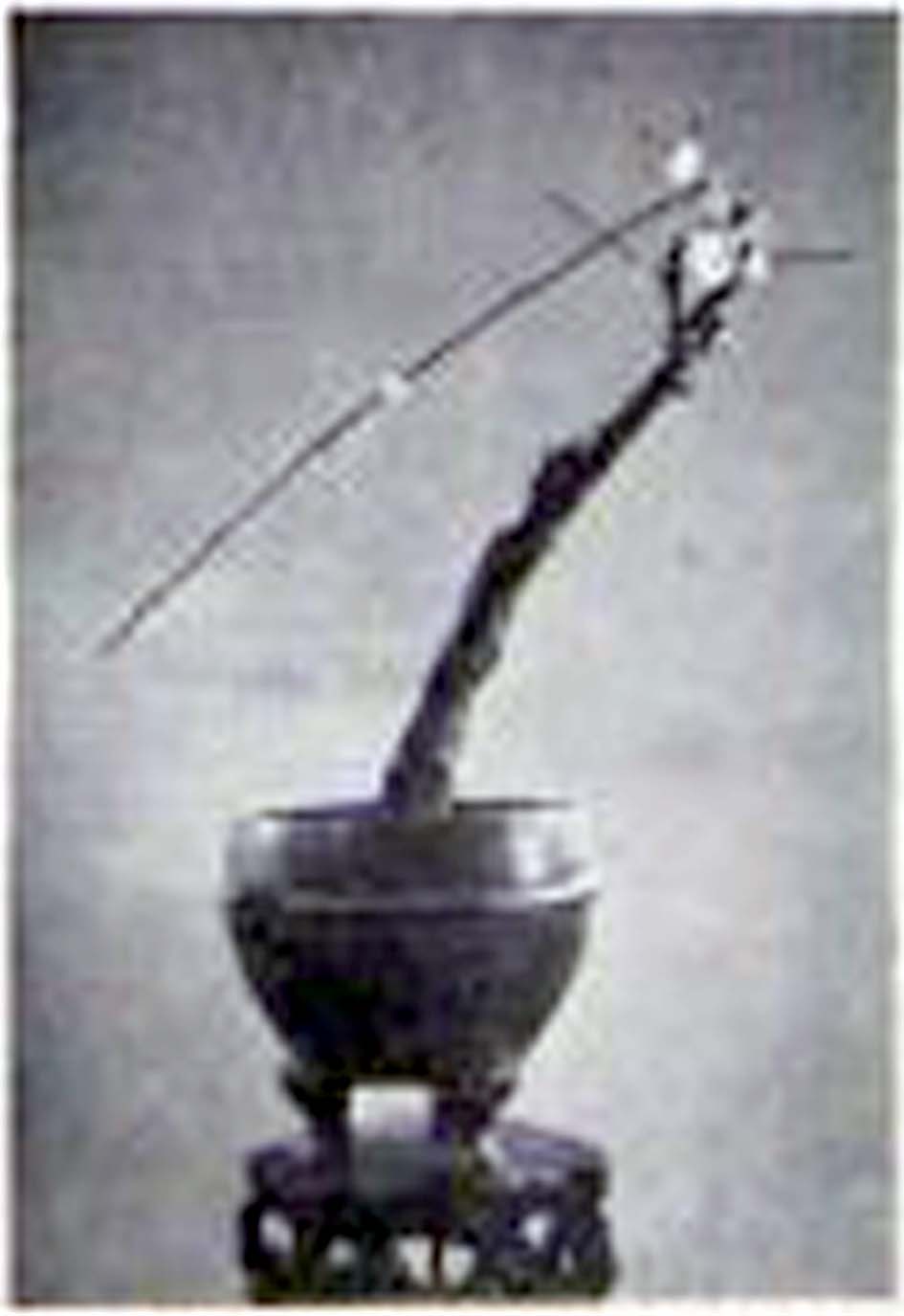 ݾ辰9.jpg
