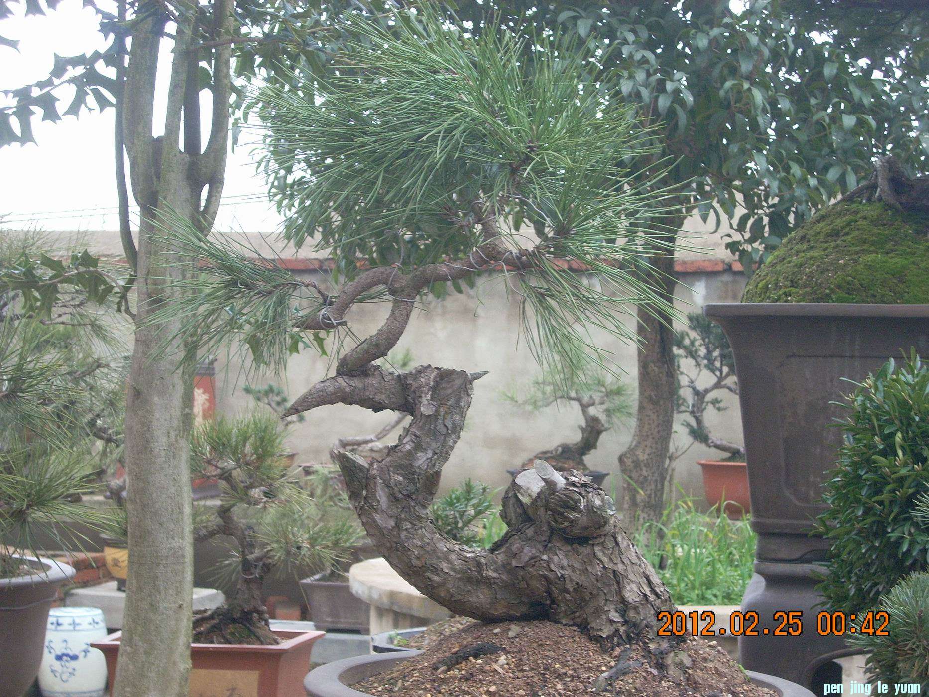 С DSCN0060.JPG
