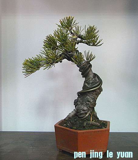 RIMG2485_.jpg