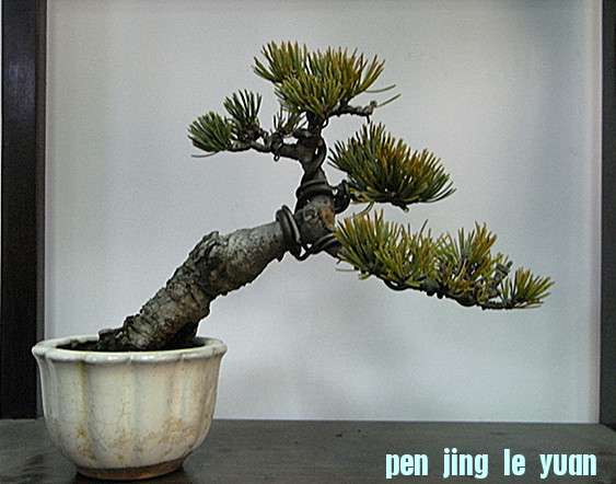 RIMG2488_.jpg