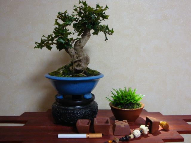 DSC07890.JPG