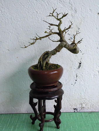 Ƭ 026_.jpg
