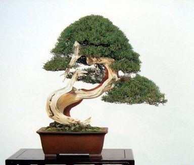 2dMAq.jpg
