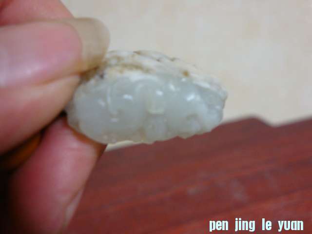 DSC07981.JPG