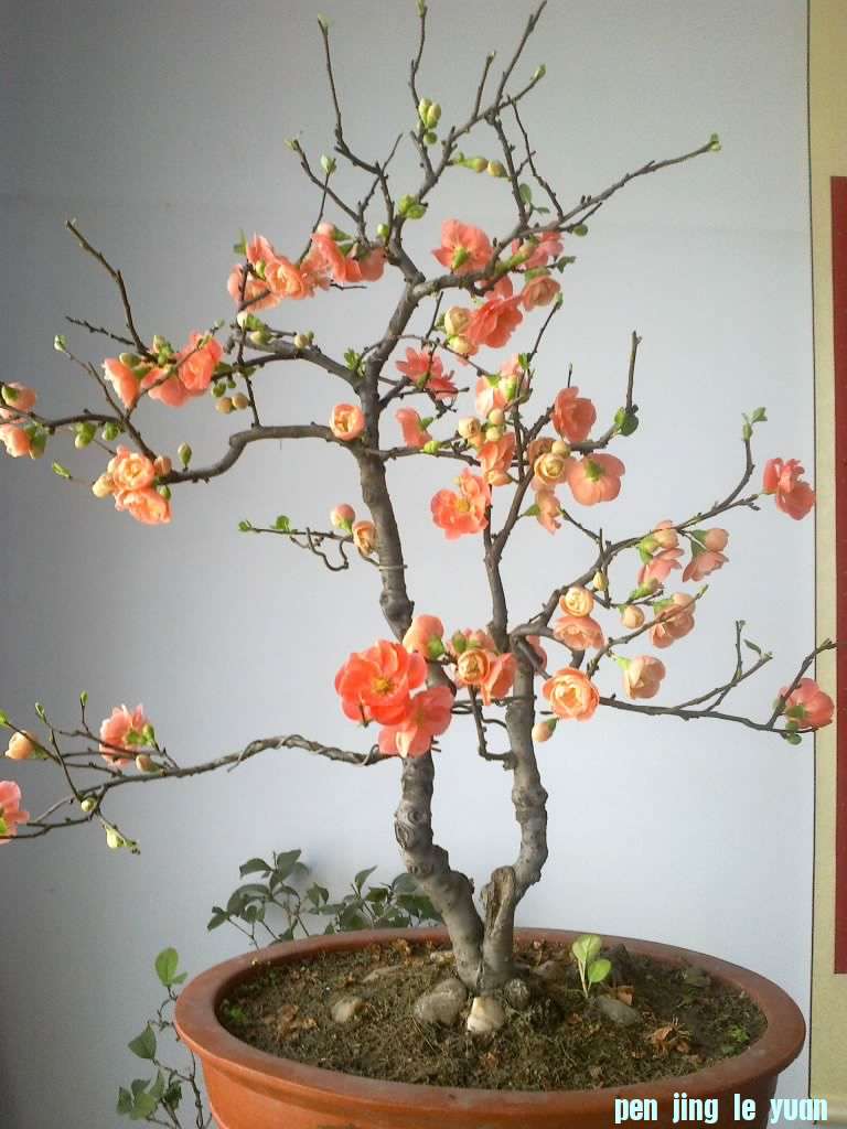 20120302907.jpg