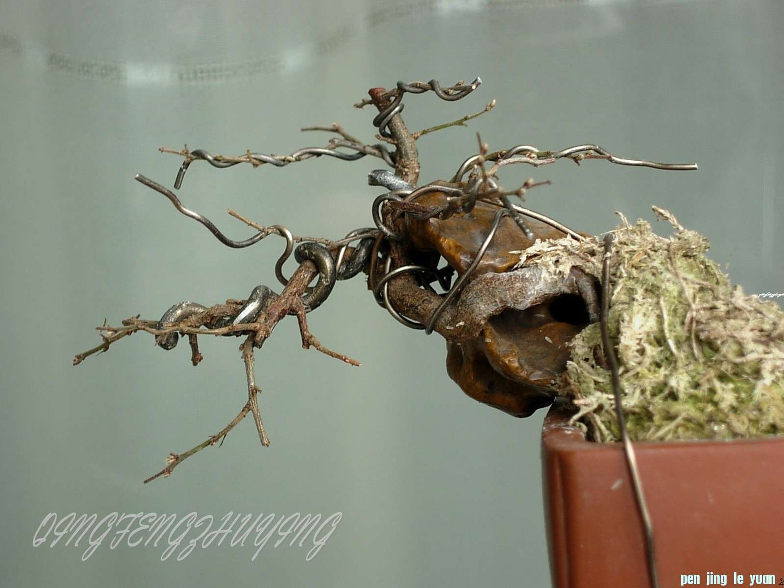 DSCN6467.jpg1_conew1.jpg