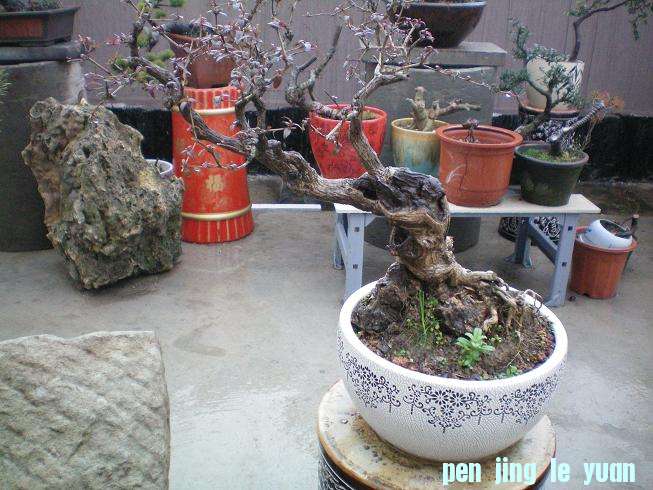 100_0976.JPG