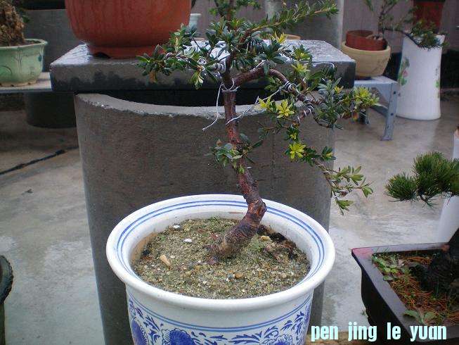 100_0983.JPG