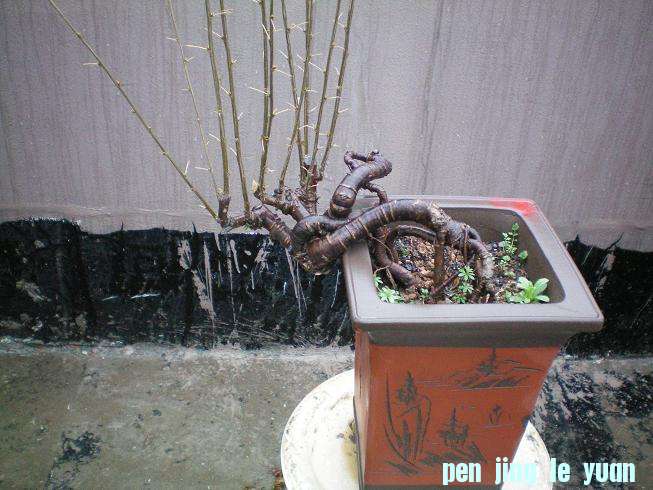 100_0999.JPG
