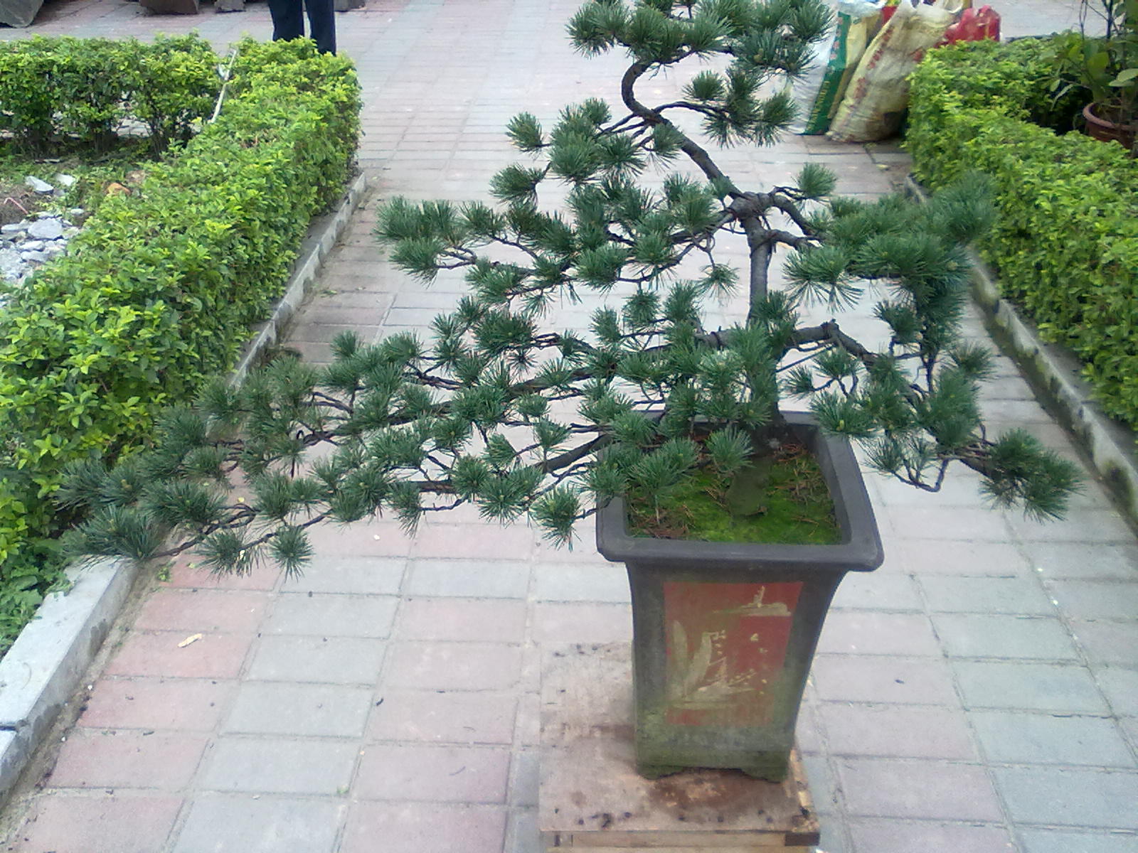 20120304497.jpg