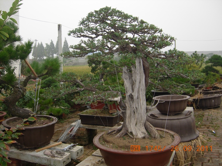 DSCN4398.JPG