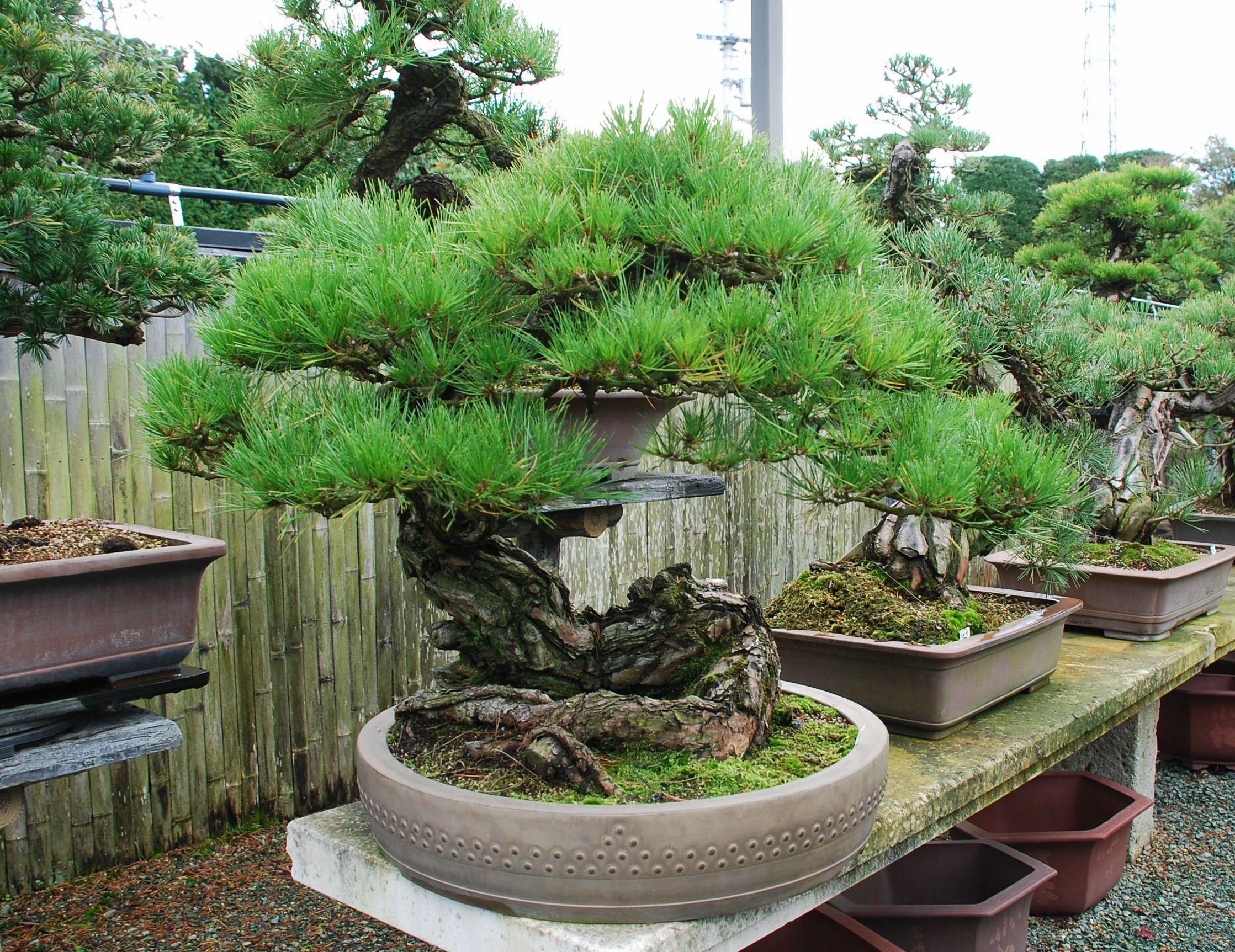 DSC_8311.JPG