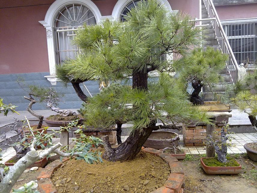 20120305111.jpg