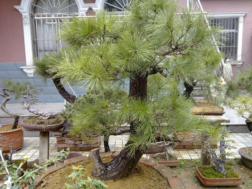20120305109.jpg