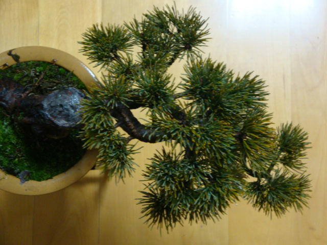 DSC08007.JPG