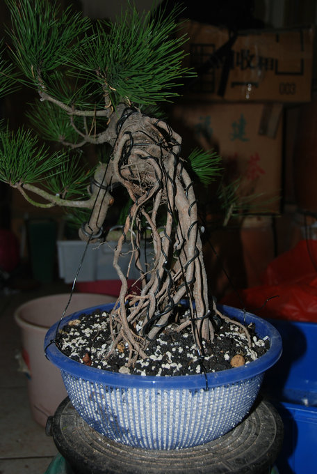 DSC_0556.JPG