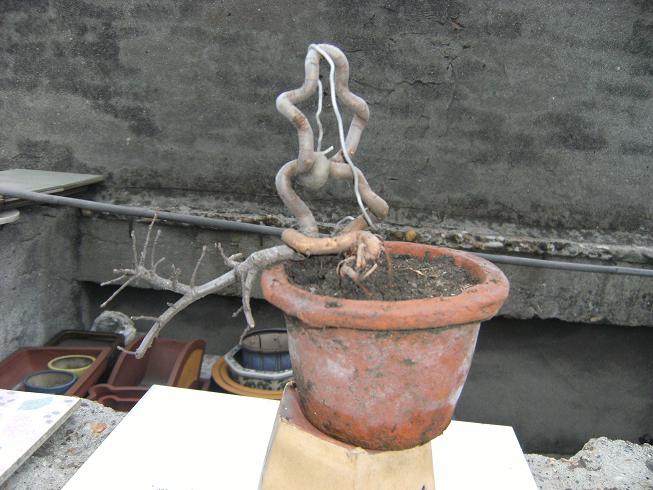 DSCF5602.JPG