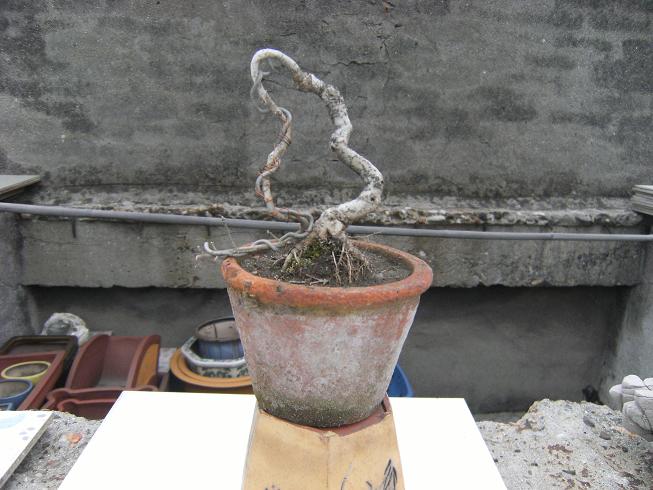 DSCF5598.JPG