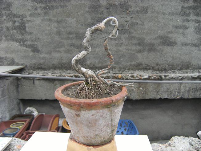 DSCF5600.JPG