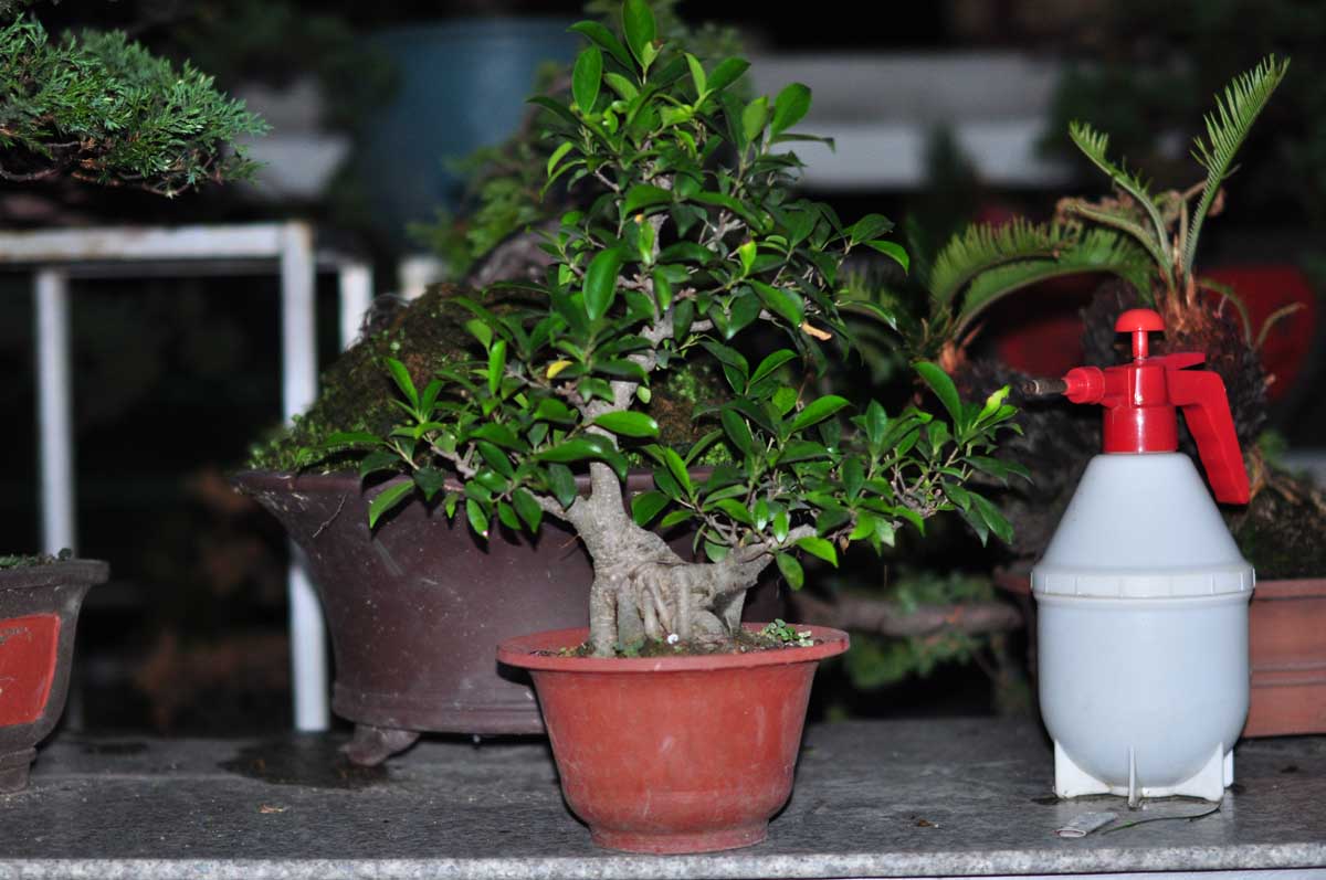DSC_0002.JPG
