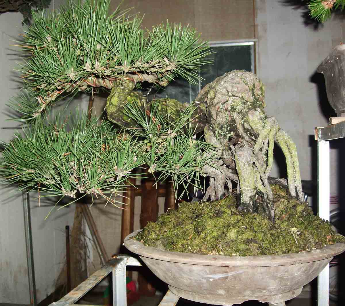 DSCF1438.jpg