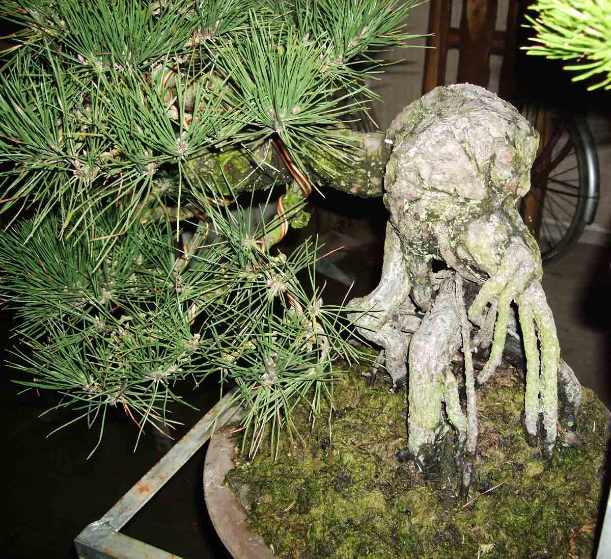DSCF1439.jpg