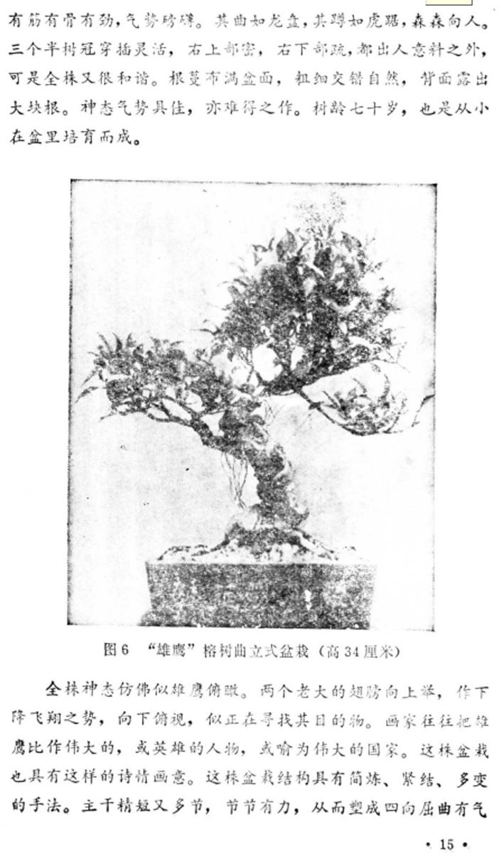 16̡Լա1982-.jpg