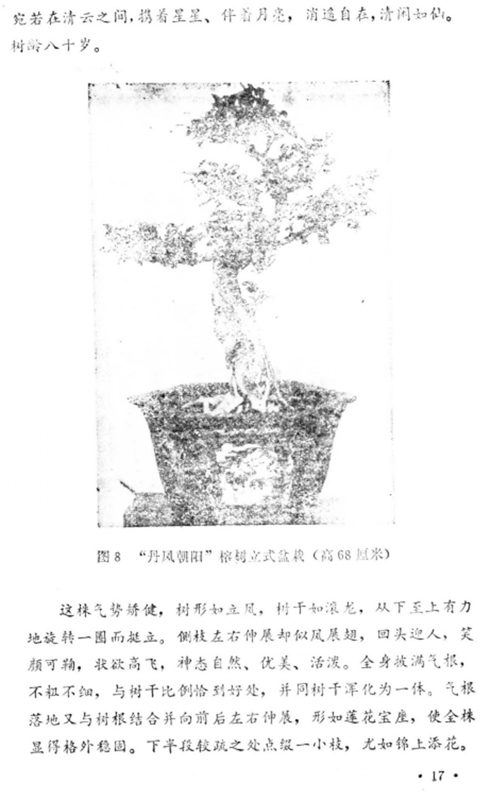 18̡Լա1982-.jpg