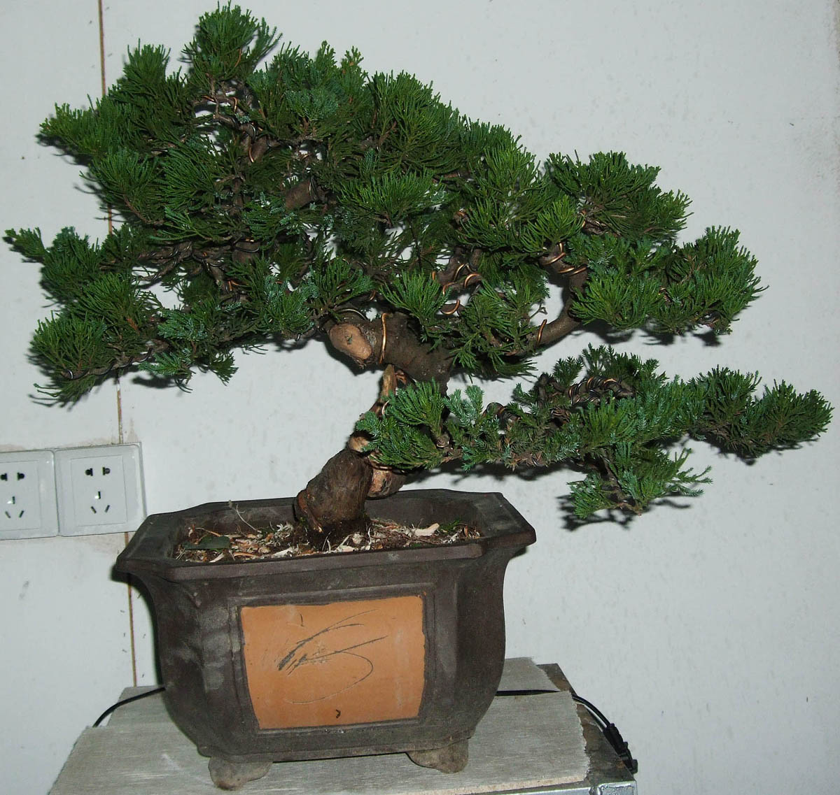 DSCF1373.jpg