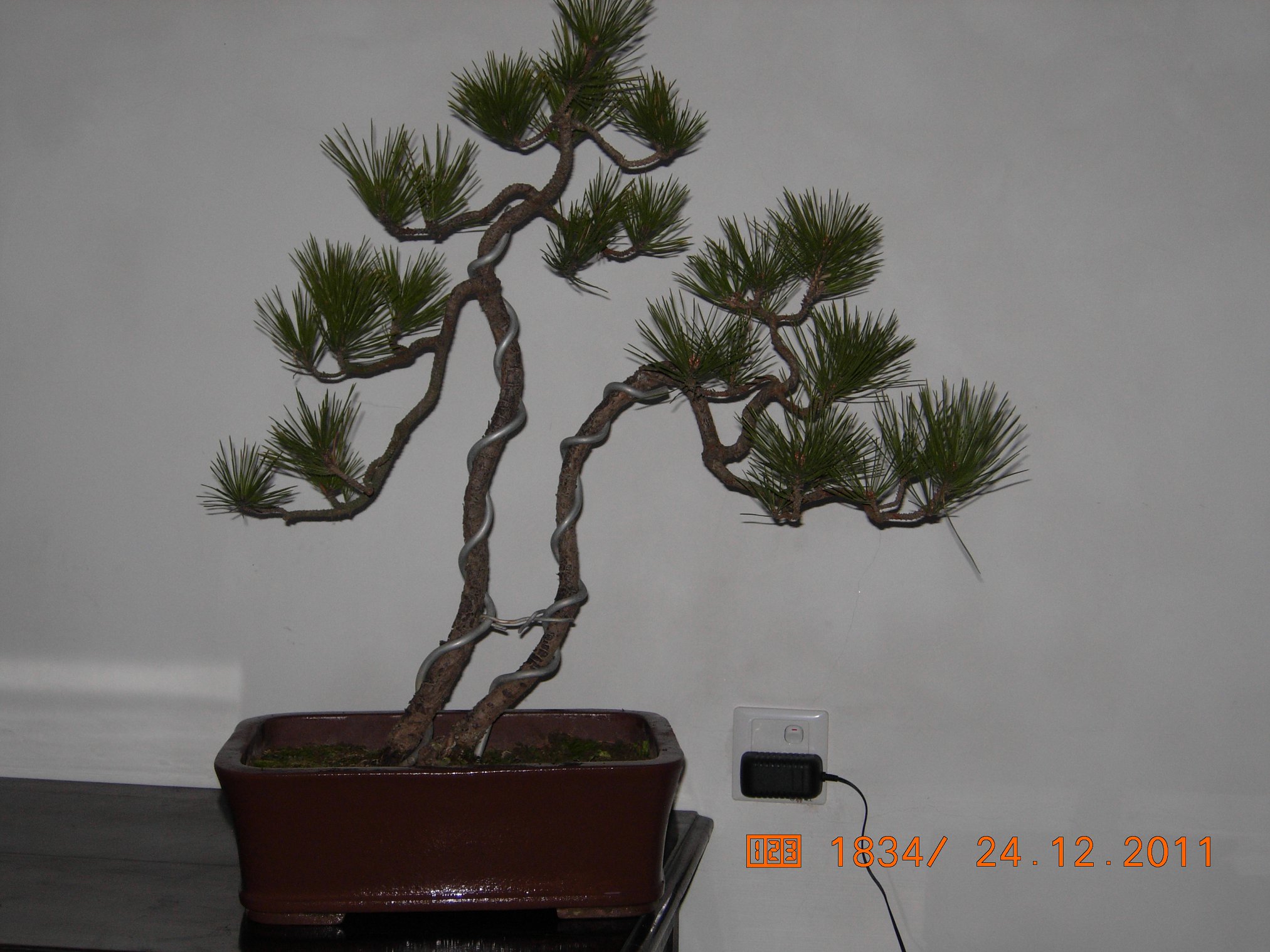 DSCN4876.JPG