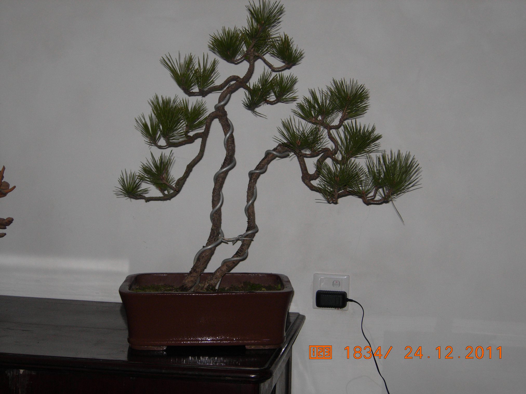 DSCN4877.JPG