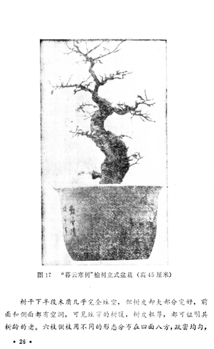 27̡Լա1982-.jpg
