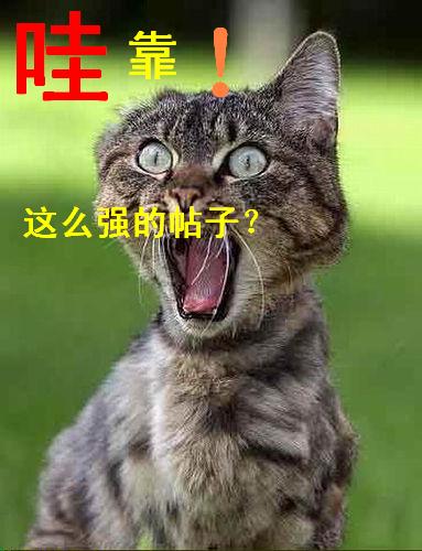 ôǿ.jpg
