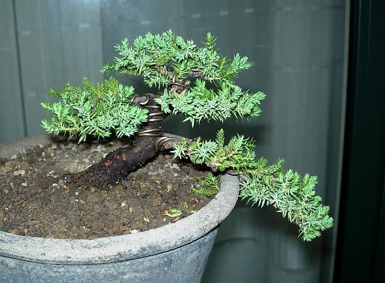 DSCN5738.JPG