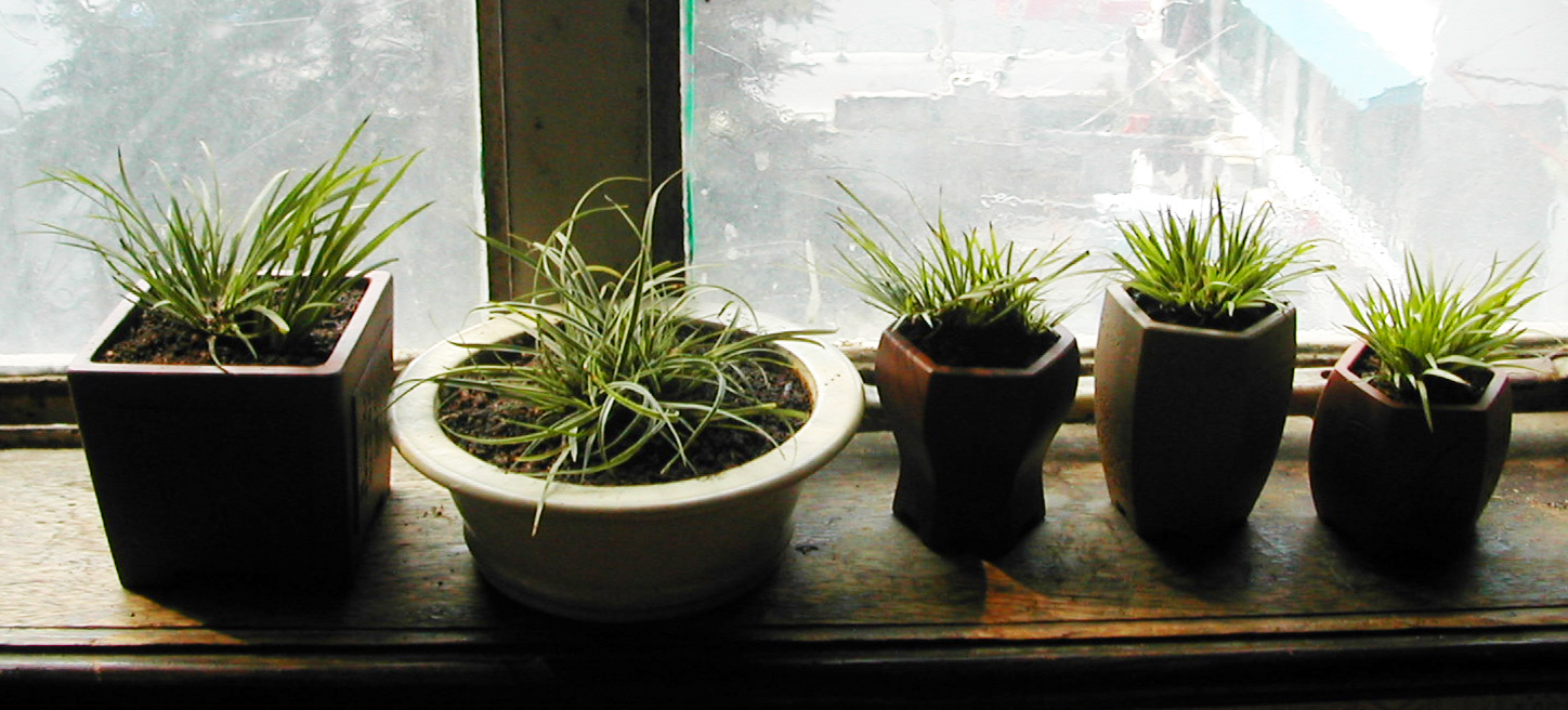 DSCN5870.JPG
