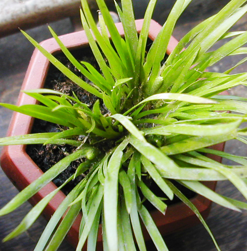 DSCN5872.JPG